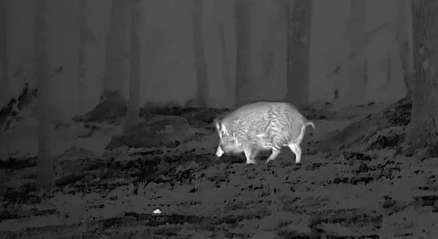 Stabilizácia obrazu