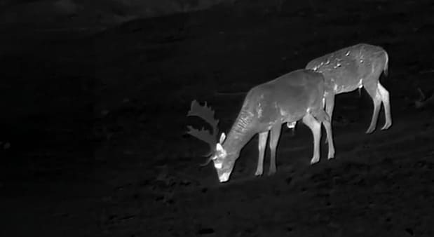 Technológia zvýšenia citlivosti