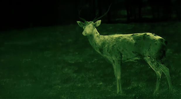 Veľmi detailný termálny obraz