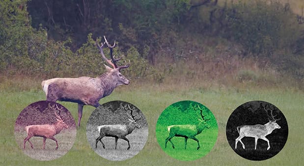 Multispektrálne zobrazenie